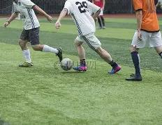 迟丽颖独家,揭秘,双色球,广东体彩网,体育彩票,体彩网,中国体彩网,中彩网