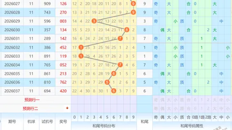 【梦回彩金】福彩3D狗年26031期独家秘杀一码，抢鲜布局，好运随行！