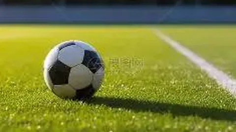 大乐透048期专家推荐混合组选，金银铁胆质合分析前区十码