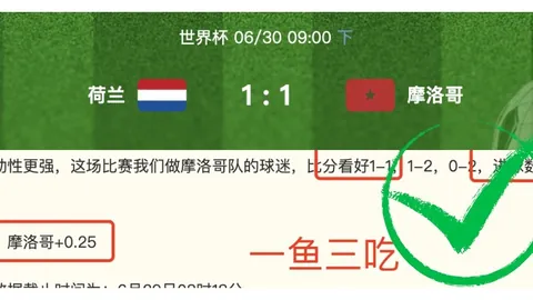 广东体彩网